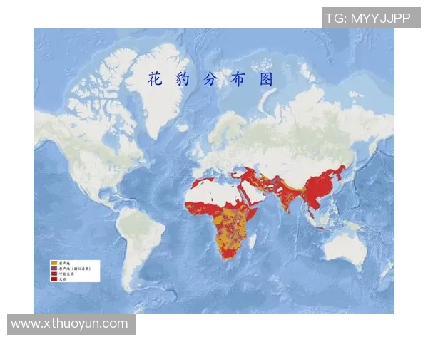 贝宁与喀麦隆欧赔对比分析揭示两队胜负关键因素